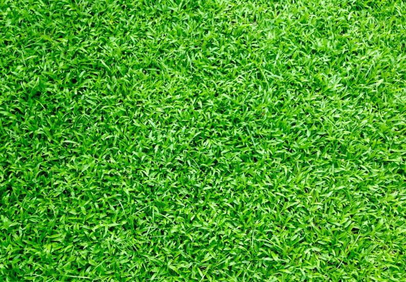 artifical grass installation sydney